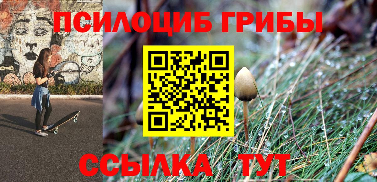 Галлюциногенные грибы Psilocybe  закладка  Отрадное  Вход с VPN 