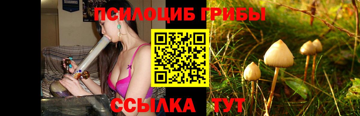 Псилоцибиновые грибы ЛСД Отрадное